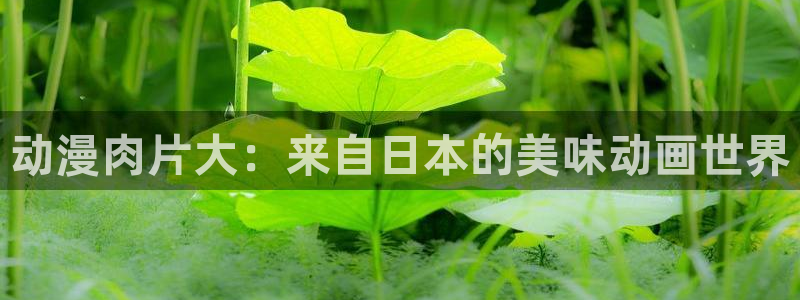 3d动漫天堂：动漫肉片大：来自日本的美味动画世界