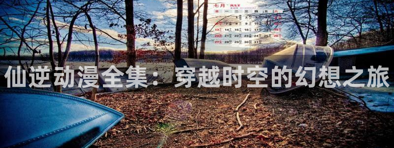 同人动漫天堂：仙逆动漫全集：穿越时空的幻想之旅