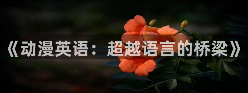 成人动漫天堂：《动漫英语：超越语言的桥梁》