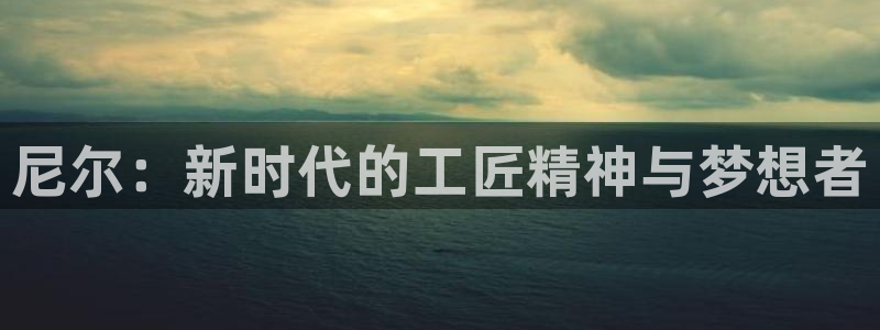 动漫天堂下载：尼尔：新时代的工匠精神与梦想者
