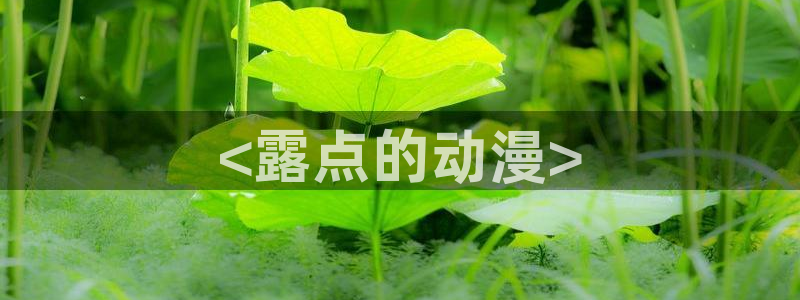 acg动漫天堂：<露点的动漫>