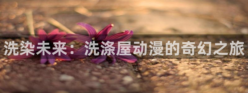 动漫天堂下载正版：洗染未来：洗涤屋动漫的奇幻之旅