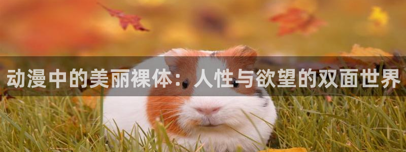 动漫天堂在线：动漫中的美丽裸体：人性与欲望的双面世界