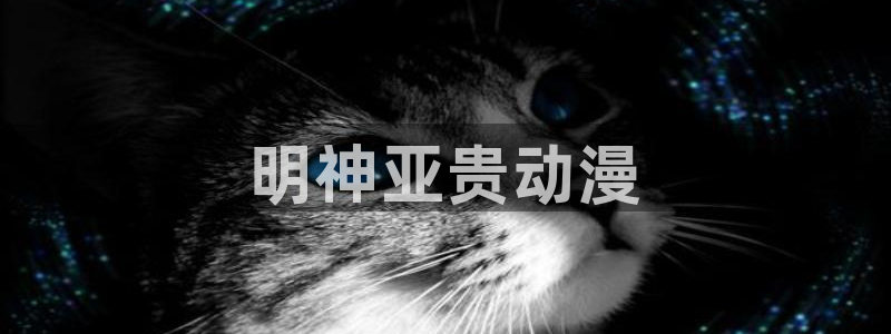 黄动漫天堂：明神亚贵动漫