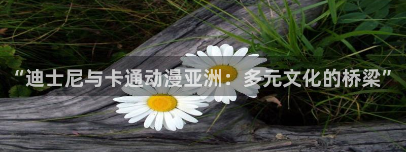 动漫天堂官方正版下载：“迪士尼与卡通动漫亚洲：多元文化的桥梁”