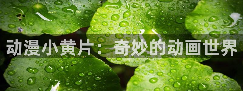 动漫天堂之吻：动漫小黄片：奇妙的动画世界