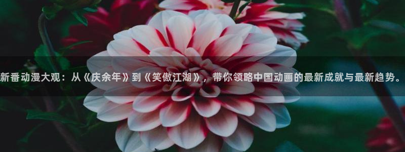 3d动漫天堂：新番动漫大观：从《庆余年》到《笑傲江湖》，带你领略中国动画的最新成就与最新趋势。
