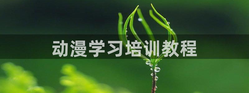 亚洲成人动漫天堂：动漫学习培训教程
