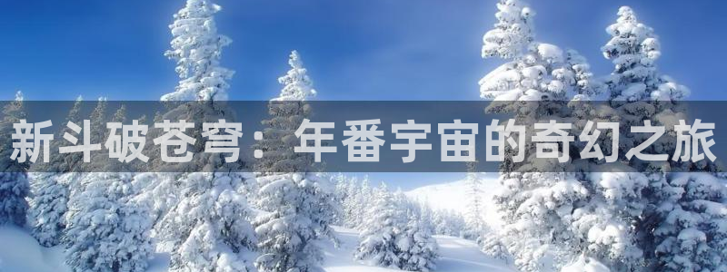 动漫天堂岛：新斗破苍穹：年番宇宙的奇幻之旅