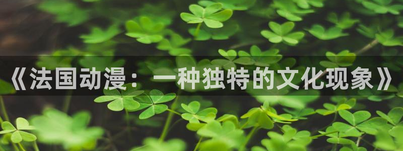 av动漫天堂网：《法国动漫：一种独特的文化现象》