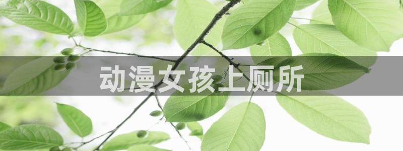 动漫天堂免费下载：动漫女孩上厕所