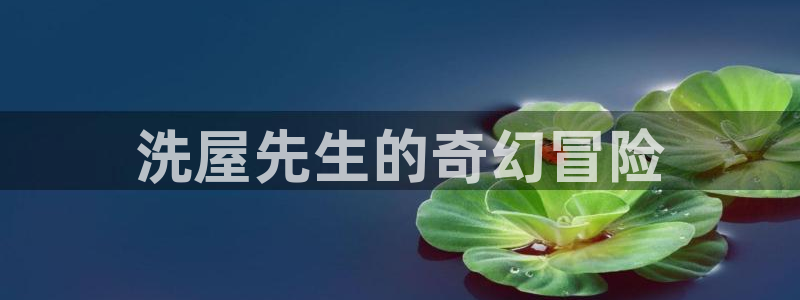 jk动漫天堂：洗屋先生的奇幻冒险
