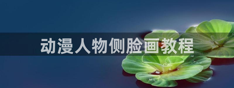 动漫天堂免费观看：动漫人物侧脸画教程