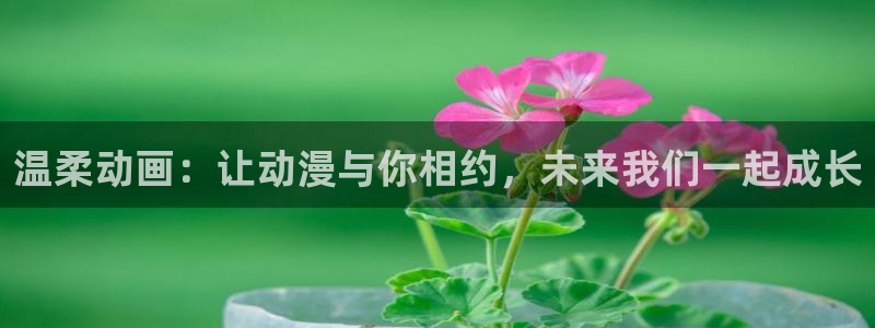 原神动漫天堂免费入口：温柔动画：让动漫与你相约，未来我们一起成长