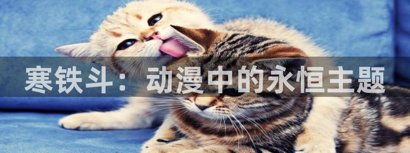 动漫天堂cc：寒铁斗：动漫中的永恒主题