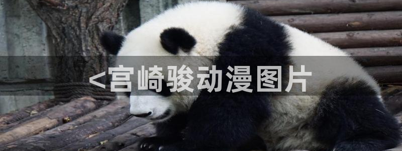 亚洲动漫天堂在线：<宫崎骏动漫图片
