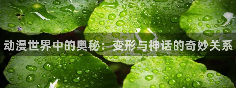 动漫天堂下载：动漫世界中的奥秘：变形与神话的奇妙关系