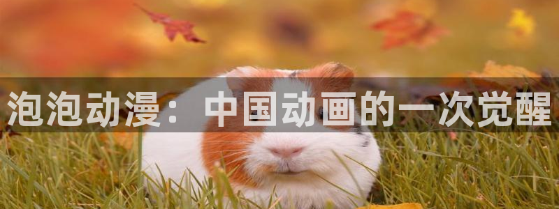 动漫天堂18：泡泡动漫：中国动画的一次觉醒