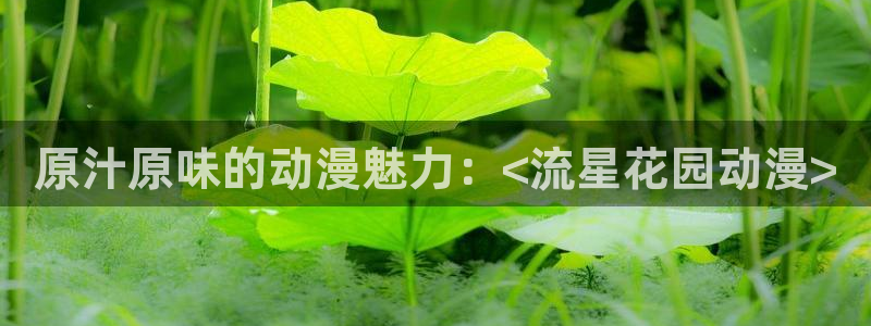 3d动漫天堂网：原汁原味的动漫魅力：<流星花园动漫>