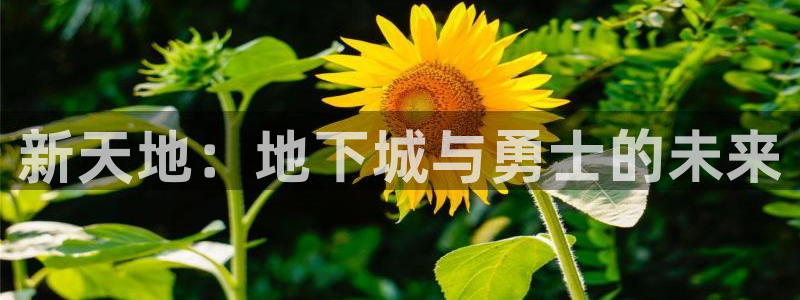 3d动漫天堂：新天地：地下城与勇士的未来