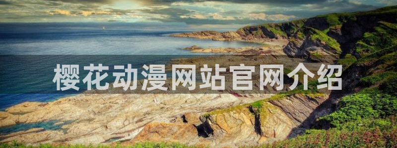动漫天堂电影：樱花动漫网站官网介绍
