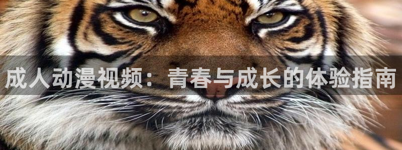 禁漫动漫天堂：成人动漫视频：青春与成长的体验指南